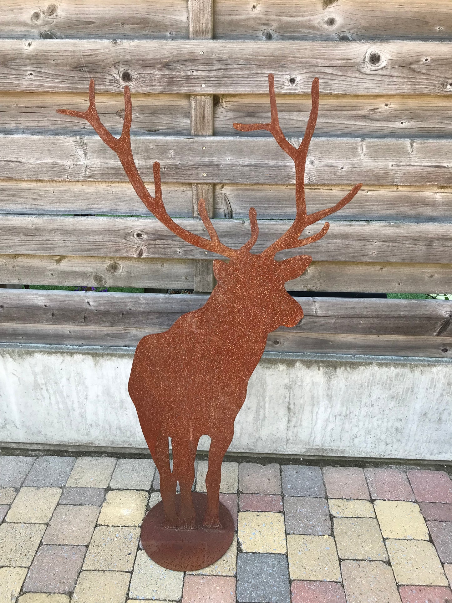 Hert staand op bodemplaat