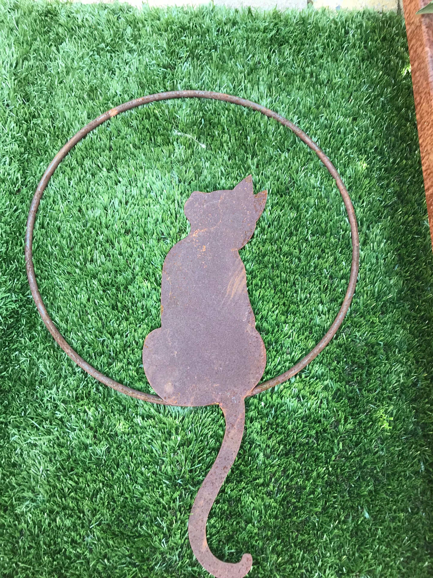 Kat zittend in een ring , om op te hangen