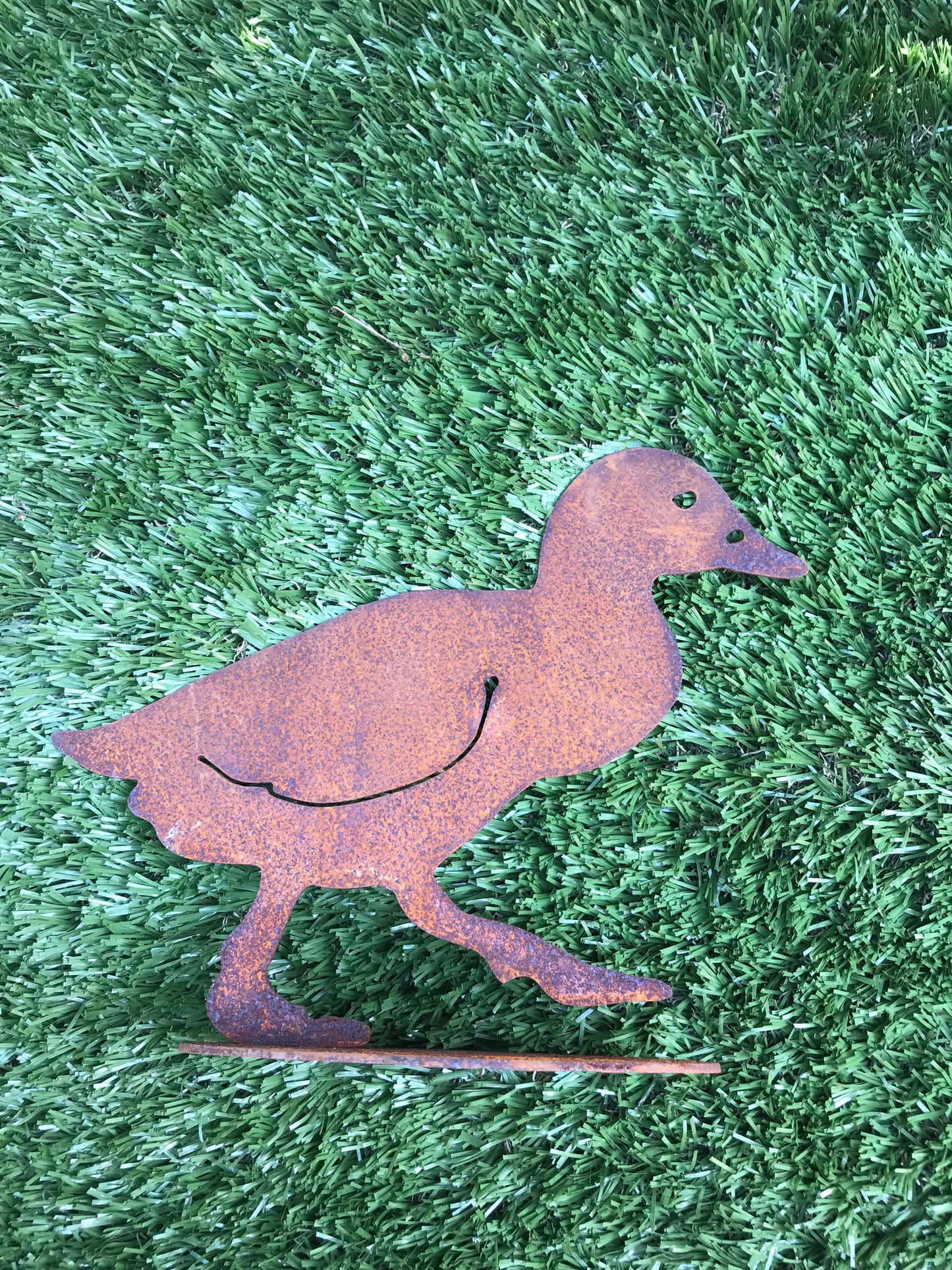 Eendenkuiken lopend op plaat