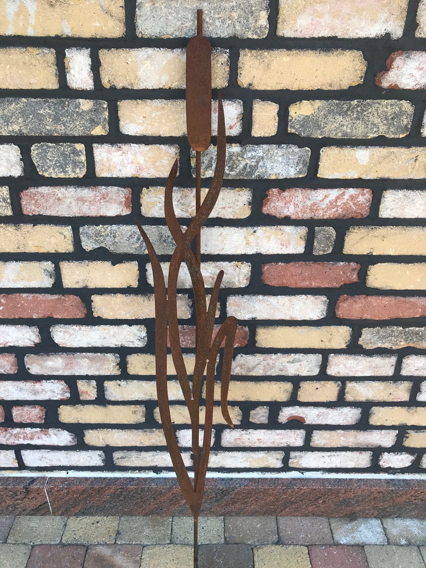 Waterplant op steker